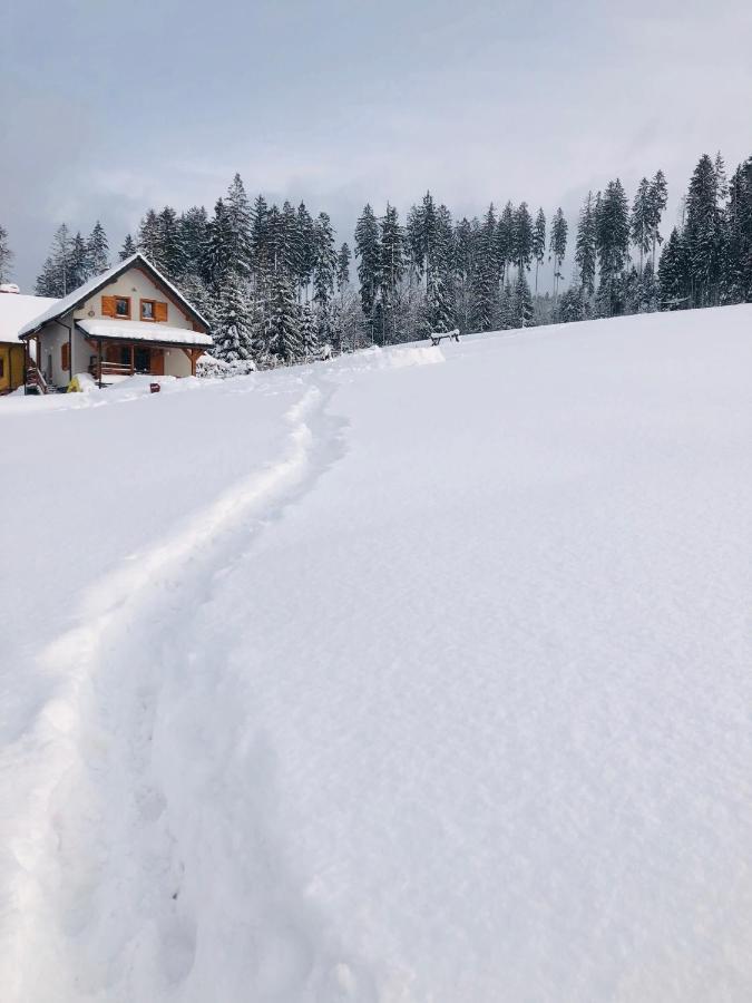 Domek W Gorach Jaworzynka Villa Esterno foto